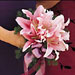 Bouquets